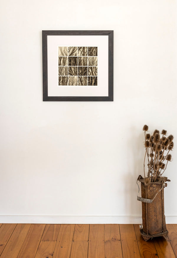 Framed Print - Trees at the Coal Pit Dam