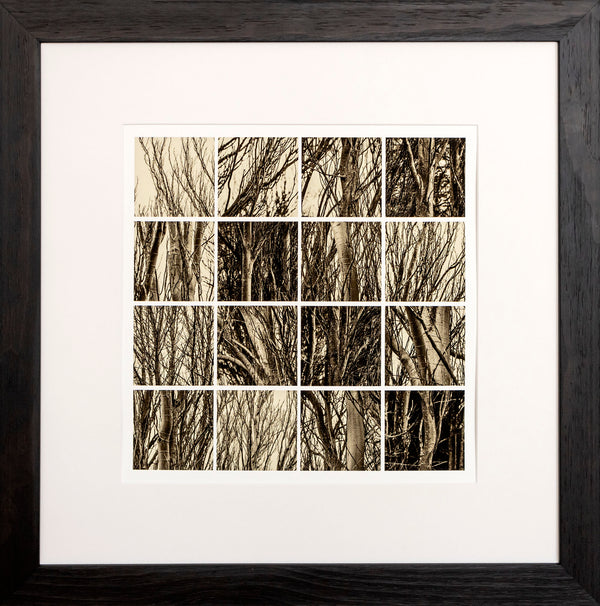 Framed Print - Trees at the Coal Pit Dam