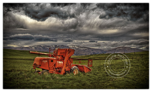 Harvest History Forgotten, Central Otago, New Zealand