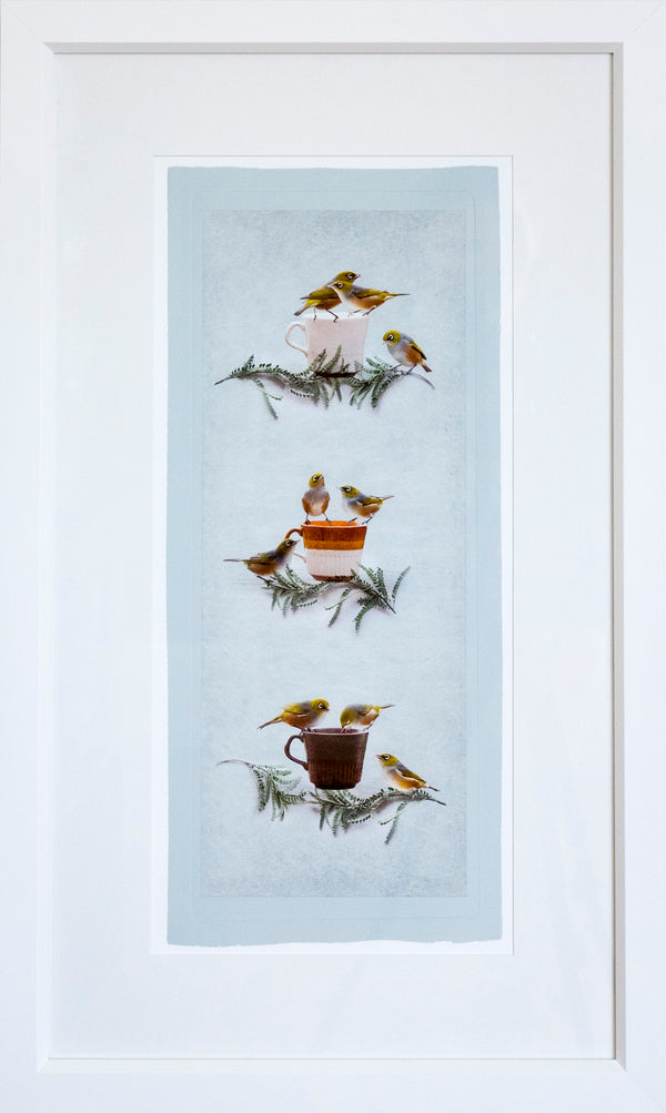 Framed Print - Waxeyes, Kowhai and Crown Lynn