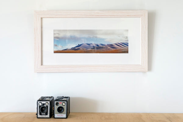 Framed Print - Tree at Chatto Creek