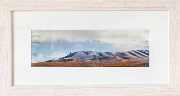 Framed Print - Tree at Chatto Creek