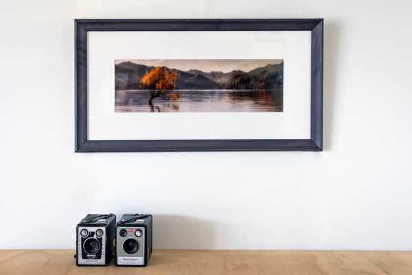 Framed Print - Wanaka Tree