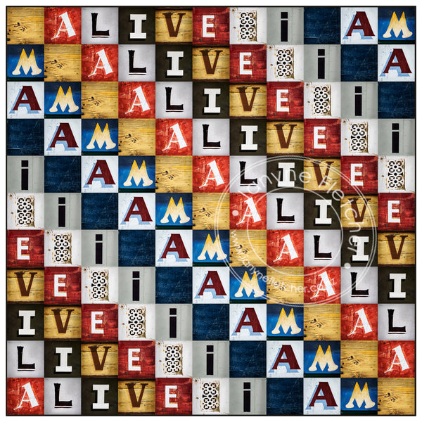 Limited Edition Framed Print - I AM ALIVE