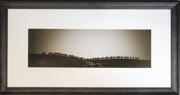 Framed Print - Cavalcade